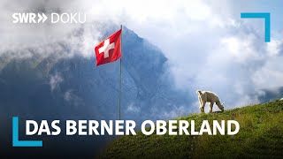 Das Berner Oberland – Ein Sommer in den Schweizer Alpen  SWR Doku [upl. by Blasius]