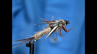 Fly Tying a Hemingway Hexagenia with Jim Misiura [upl. by Argella]