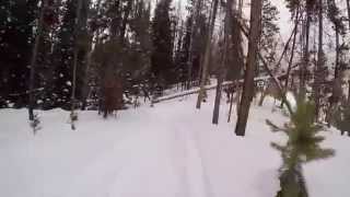 Elk Preserve Backcountry Nordic Skiing in Keystone Colorado [upl. by Abdulla]