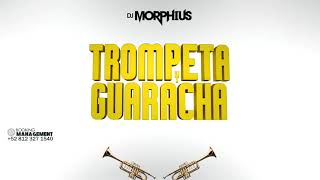 TROMPETA Y GUARACHA 🎺Aleteo Mix💥 Guaracha Zapateo Tribal Circuit Dj Morphius vs Muzik Junkies [upl. by Amjan]