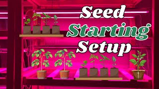 Starting Plants indoors from seed to SELL this SPRING  our GROW LIGHT setup [upl. by Irrak409]