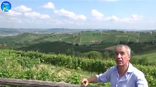 Aldo Vacca of Produttori del Barbaresco Cru Vineyards Walk Through Part 1 [upl. by Charlotte84]