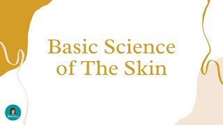 Basic Science of The Skin  Anatomi Kulit dan Fungsinya  Dokter Wendy Channel [upl. by Nnaeel]