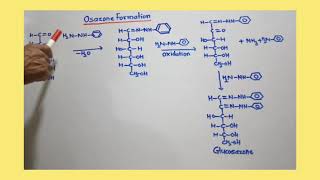 Osazone of DGlucose and DFructose [upl. by Preston]