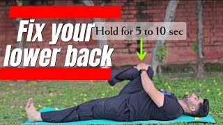 lower back pain exercises [upl. by Bultman461]