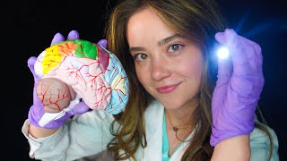 ASMR NURSE amp DOCTOR Roleplay Exam Concussion Testing Typing Gloves Light [upl. by Ecarret]