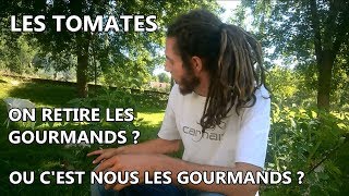 Les tomates on retire les gourmands  ou cest nous les gourmands [upl. by Ttereve]