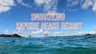 Snorkeling Saphire Beach St Thomas Virgin Islands March 2024 [upl. by Muna]