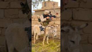 Delta Force SHOOTS a Donkey to get to the Enemy ShawnRyanShow specialforces shorts military [upl. by Humble]