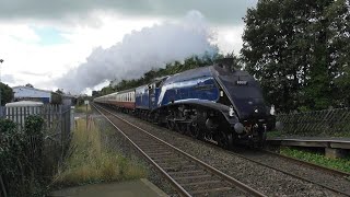 A4 60007 Sir Nigel Gresley  Settle amp Carlisle Fellsman  Settle Station  11th September 2024 [upl. by Tiffy]