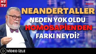 Neandertaller Neden Yok Oldu Homosapienden Farkı Neydi [upl. by Atikkin]