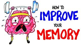 How To Improve Your Memory RIGHT NOW [upl. by Klemm]