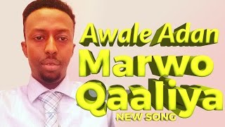 AWALE ADAN MARWO QAALIYA OFFICIAL AUDIO 2016 HD [upl. by Kajdan]