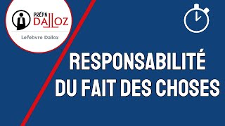 Responsabilité du Fait des Choses  Responsabilité Civile [upl. by Ahsinot]