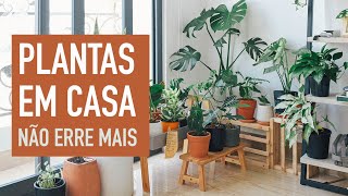 PLANTAS DENTRO de CASA com FOLHAS CAINDO e ficando AMARELADAS como resolver [upl. by Ulla]