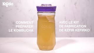 COMMENT PRÉPARER LE KOMBUCHA AVEC LE KIT DE FABRICATION DE KÉFIR KEFIRKO [upl. by Connors]