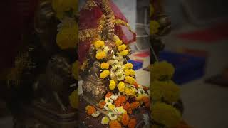 Chaturshringi Devi Aai🙏🛕song viralsohrts devi mata ajayatul gondhal mandir minivlog [upl. by Mychal874]