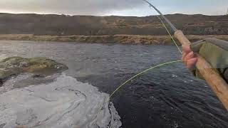 Spring fishing on the River Helmsdale day 3 [upl. by Onitrof]