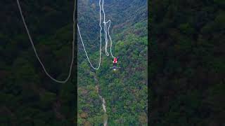 The thrill of free fall Zhangjiajie Grand Canyon Glass Bridge Bungee Jump [upl. by Enelahs865]