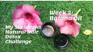 NATURAL HAIR DETOX WEEK 2  WHY I USE MOSKITIA BATANA OIL AS A SEALANT [upl. by Tnaryb]