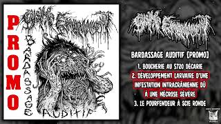 Cystic Embalmment  Bardassage Auditif Promo FULL EP 2024  Goregrind [upl. by Enileme]