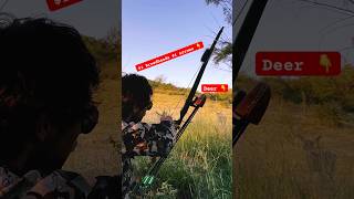 80 35lb Bow 🏹 Vs Deer 🦌deerhunting bowhunting archery bowsandarrows traditionalarchery [upl. by Noraj]