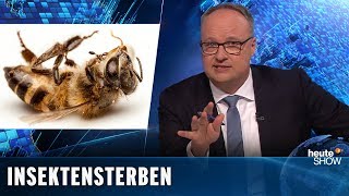 Artenschutz 18 Millionen Bayern wollen die Bienen retten  heuteshow vom 22022019 [upl. by Duster]