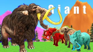 3 Elephants vs Giant Mammoth  Battle for watermelon [upl. by Ylrehc]