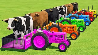 TRANSPORTING BULLS WITH ZETOR MINI TRACTORS amp FORD TRUCKS  Farming Simulator 22 [upl. by Anneiv]