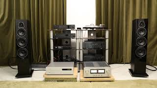 Sonus Faber Lumina V  Made in Italy [upl. by Ja]