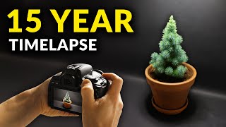 I Filmed Plants For 15 years  Timelapse Compilation [upl. by Odlanier]