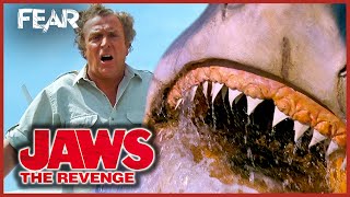 Jaws the Revenge 1987  Jakes Death amp Finale Recut [upl. by Mcmahon735]