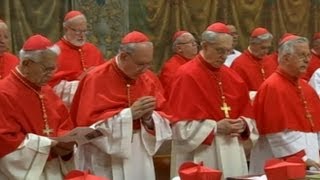 Electing a Pope Cardinal Describes Weight of Conclave Vote [upl. by Klusek667]