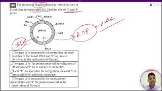 The following diagram showing restriction sites inEcoli cloning vector pBR322 Find the role [upl. by Anoj]