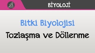 Bitki Biyolojisi  Tozlaşma ve Döllenme [upl. by Guillemette]