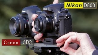 Canon 5D Mark III vs Nikon D800 Comparison [upl. by Allys272]