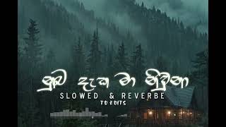 Sasindu Raveen  Numba Daka Ma  නුඹ දැක මා නිවුනා  slowed amp reverb [upl. by Ignatia]