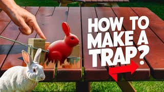 Easy DIY Rabbit Trap  Catching Wild Bunnies Made Simple trap trapping rabbit creativetrap [upl. by Adnicaj]