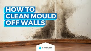 How to Clean Mould From Walls Vinegar Bleach amp More Hacks [upl. by Kcireddor]