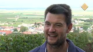 Portraits de vignerons  Les vendanges 2014 [upl. by Yreffoeg]