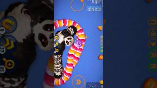 🐍WormsZoneio ❤️001 Slither Snake Top 01 Best World Record Snake Epic cacing Wormszoneio wormszone [upl. by Annahs874]