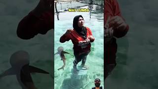 remix greenscreen lucu challenge ikan comedy funny shorts trending [upl. by Calandra445]