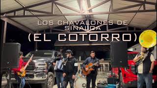 Los Chavalones De Sinaloa  El Cotorro 2023 En Vivo [upl. by Reg]