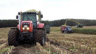 Mais Silage 2023 in Muddy Fields  John Deere 9800i  Straight Piped Massey Ferguson 8480 [upl. by Dwyer]