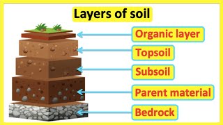 Layers of soil  Structure of the soil  Educational Science Lesson [upl. by Asseralc991]