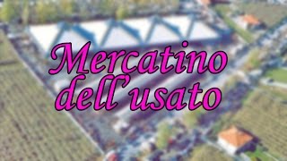 VLOG Mercatino dellusato e piccolo aniquariato di Borgo dAle [upl. by Nosrak]