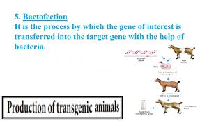 Transgenic animals Video No 470 [upl. by Magnolia702]