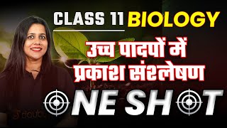 Class 11 Biology उच्च पादपों में प्रकाश संश्लेषण One Shot  11th Hindi Medium Biology CH 11 One Shot [upl. by Tuttle]