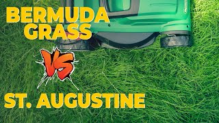 Bermuda Grass vs St Augustine What Are The Differences A Detailed Comparison [upl. by Ossie729]