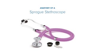 Anatomy of a Sprague Stethoscope [upl. by Cagle]